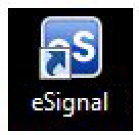 eSignal icon on your Desktop